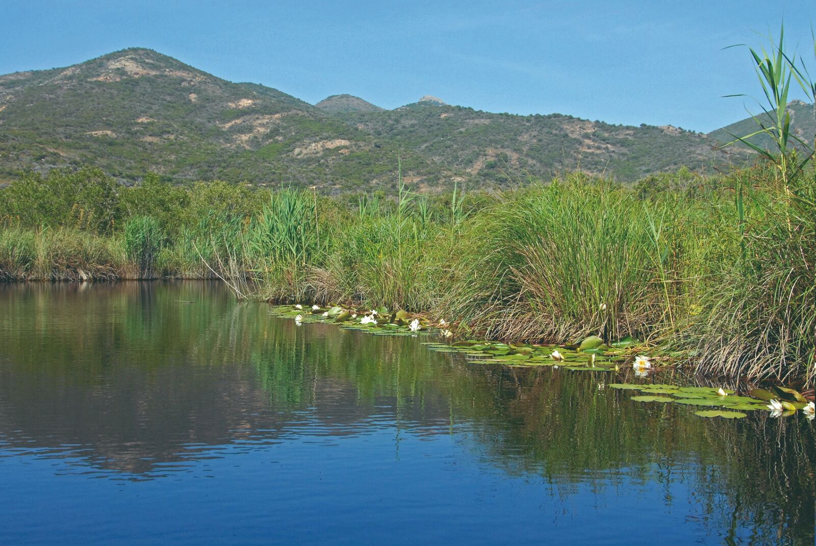 Étang du delta du Fangu